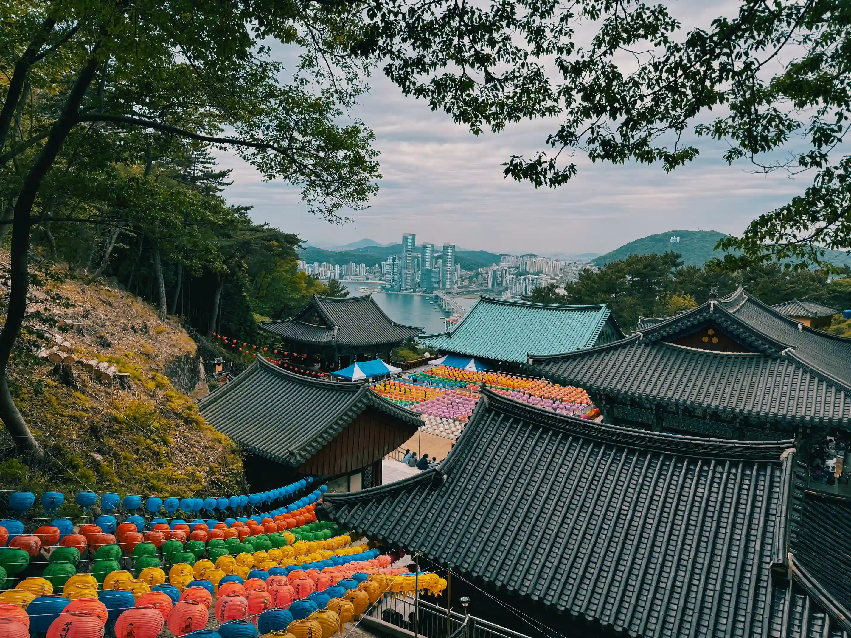 Busan’s Geography Built Its Past — and May Shape Its Climate Future ...